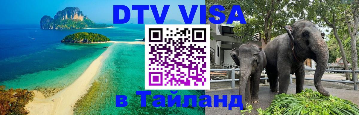 Оформление DTV визы под ключ: стоимость и тарифы, только загранпаспорт - Подгорица 